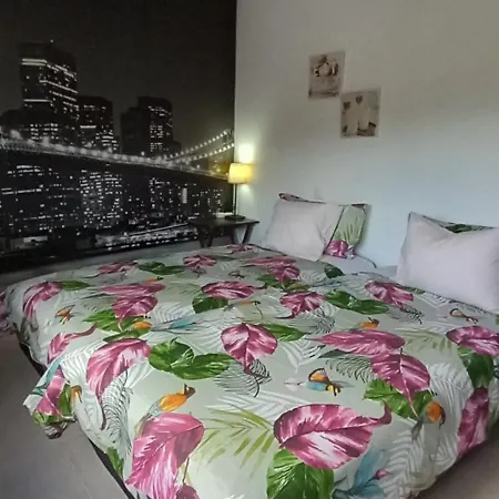 Проживание в семье Rincon De Candelaria Solorzano
